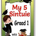 Graad 1 PDF - My 5 Sintuie Woorde