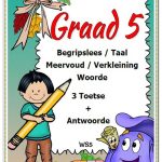 Graad 5 - Begripslees, Taal, Meervoud, Verkleining 3 Toetse + Antwoorde (10 Blaaie)