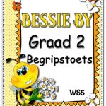 Graad 2 Begripstoets - Bessy By, Vrae en Memo