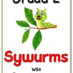 Graad 2 Begripstoets - Sywurms, Vrae en Memo
