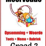 Graad 2 Meervoude + Opsomming + Woorde