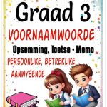 Graad 3 Voornaamwoorde Opsomming + Toetse + Memo