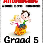 Graad 5 Antonieme Woorde Voorbeeld Toetse en Memo
