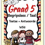 Graad 5 - Begrip- Bennie se Markdag - Taal - Toetse + Antwoorde