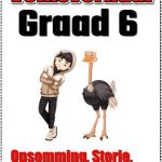 Graad 6 PDF - Volksverhaal Opsomming Storie Toets + Memo Skryf + Rubriek