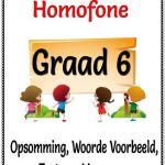 Graad 6 Homonieme, Homofone Opsomming, Woorde Betekenis