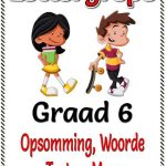 Graad 6 Lettergrepe - Opsomming Woorde Toets + Memo