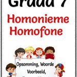Graad 7 Homonieme Homofone Opsomming Woorde Toetse + Memo