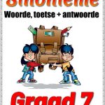 Graad 7 Sinonieme/Synonyms - Opsomming, Woorde Toetse + Memo