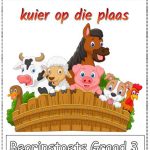 Graad 3 Begripstoets - Johan en Susan gaan kuier op die plaas (9 blaaie)